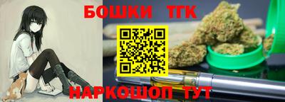 индика Сланцы