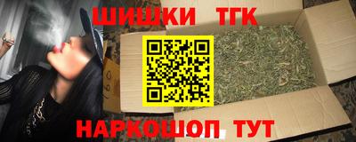 индика Сланцы