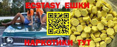индика Сланцы