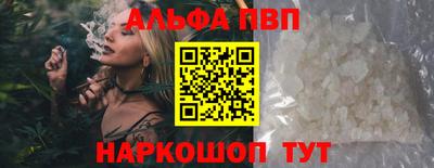 индика Сланцы