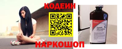 индика Сланцы