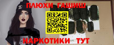 индика Сланцы