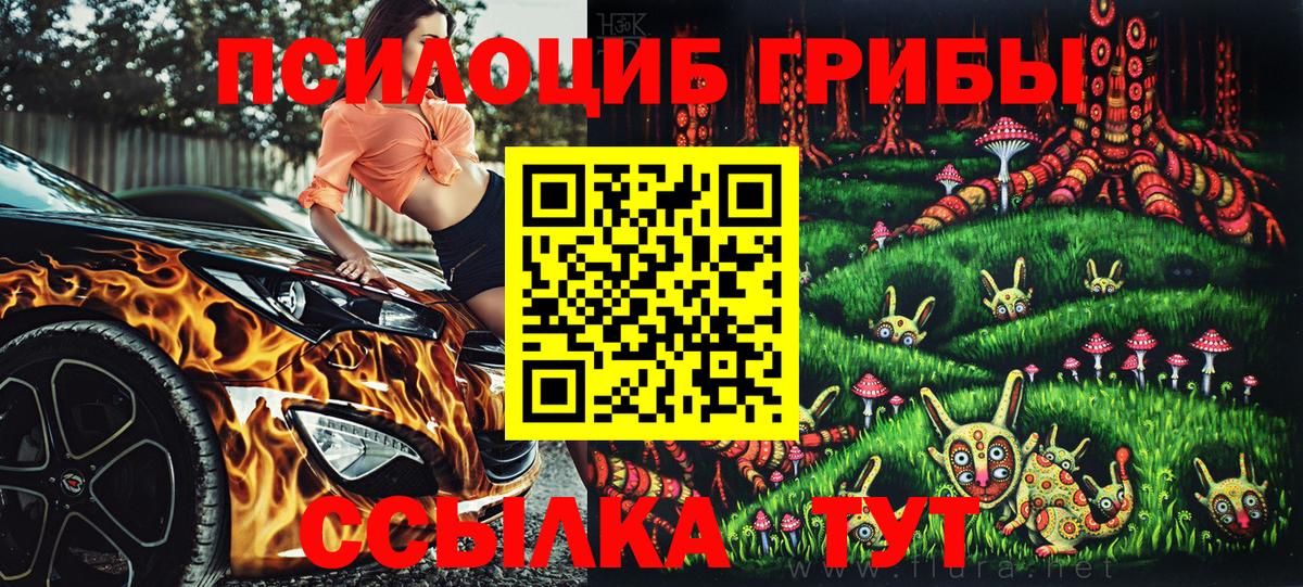 Псилоцибиновые грибы Cubensis Наро-Фоминск